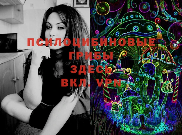 spice Бородино