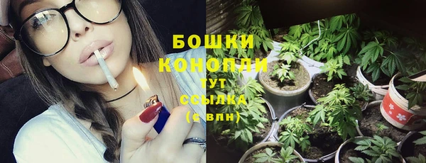 тгк Бронницы