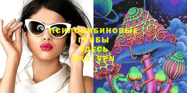 тгк Бронницы