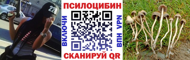 Галлюциногенные грибы Magic Shrooms  Купить где  Новохопёрск 
